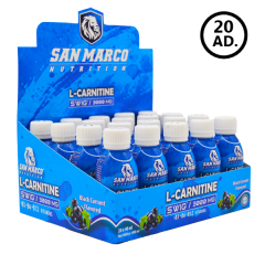 L-Carnitine Swig Black Currant Aromalı 40 ml*20 AMPUL